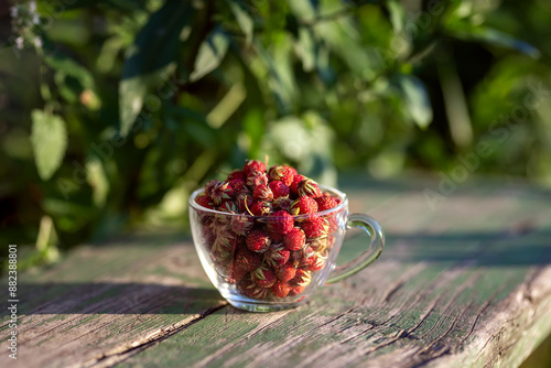 Glass cup with ripe wild strawberries. Summer berries harvest season. Copy space.