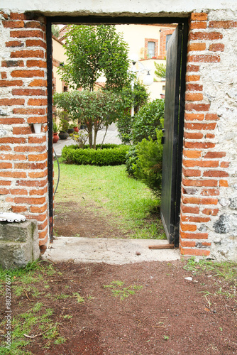A peak into the garden