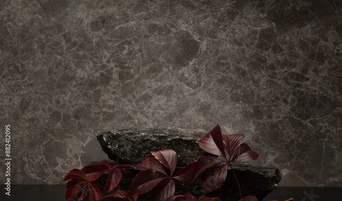 Photography stones with texture for podium background