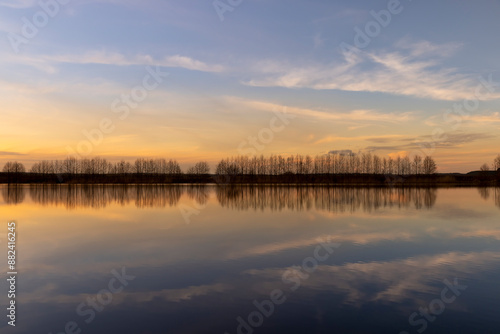 Wallpaper Mural a row of trees without foliage and a lake shore at sunset in spring Torontodigital.ca