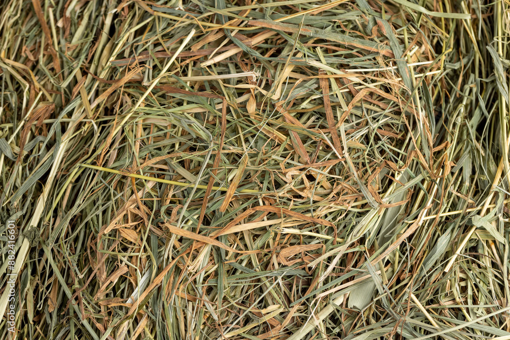 Dehydrated Dried Grass for hay production in agriculture Dehydrated Dried Grass for hay production in agriculture