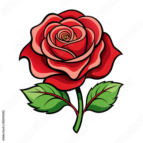 Color red rose vector art illustration