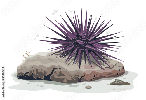 Sea urchin attached to a rock underwater, featuring sharp spines and a detailed marine environment.