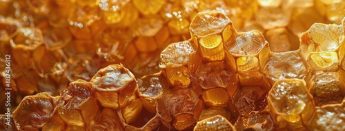 Honeycomb Close Up With Golden Honey