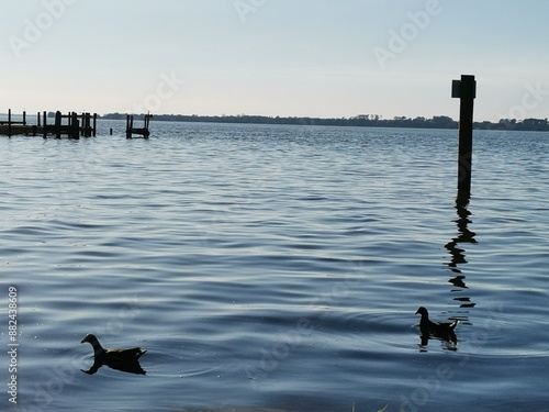 VISTA DE LAGO EN MOUNT DORA, FLORIDA photo