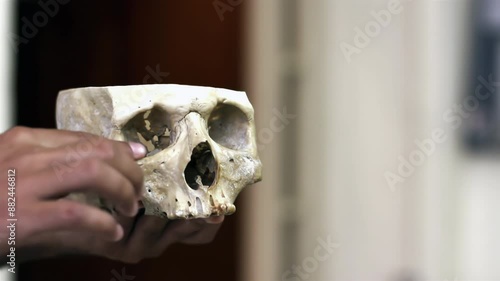 Forensic Scientist Examining a Dissected Human Skull in a University Anatomy Class. Close Up. 4K Resolution. photo