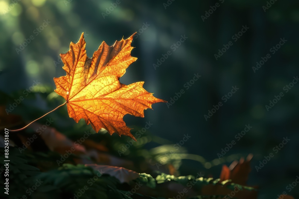 In the forest clearing, a supernatural scene unfolded as a maple leaf floated gently, glowing with a warm, golden light In the forest clearing, a supernatural scene unfolded as a maple leaf floated gently, glowing with a warm, golden light