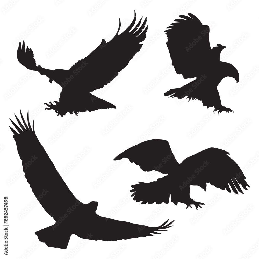 Obraz premium Eagle Silhouette Silhouette Vector Illustration Set