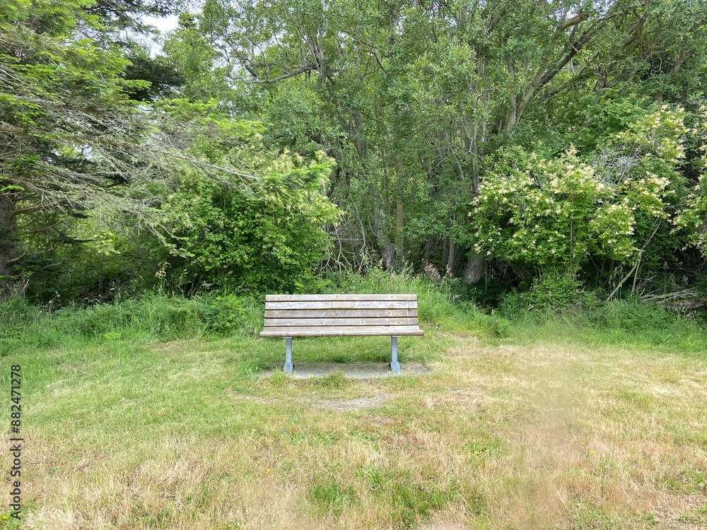 bench in the park - Whidbey Island bench in the park - Whidbey Island