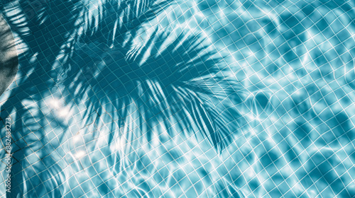 Palm Tree Shadows on a Clear Blue Pool Surface, Tropical Relaxation