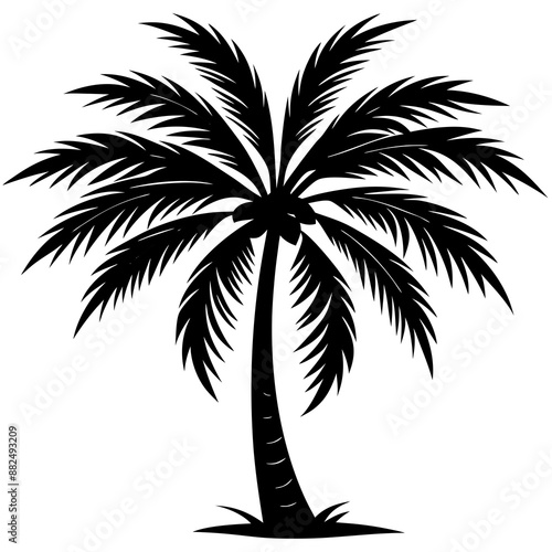 Palm tree silhouette vector illustration