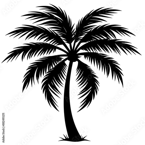 Palm tree silhouette vector illustration