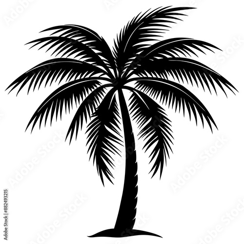 Palm tree silhouette vector illustration