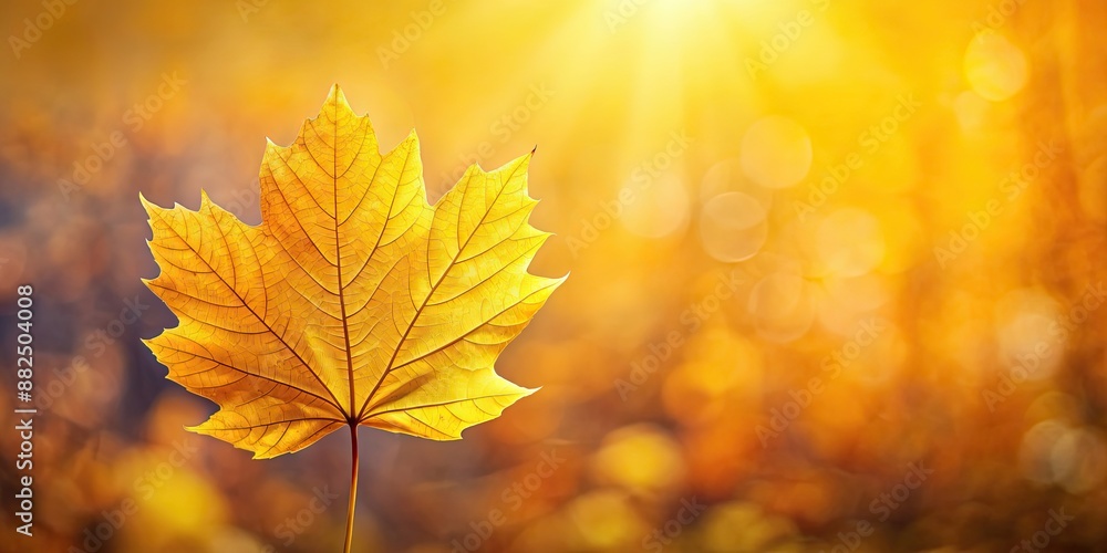 Shiny yellow leaf gold for autumn-themed design, shiny, yellow, leaf, gold, autumn, foliage, vibrant, glow, texture Shiny yellow leaf gold for autumn-themed design, shiny, yellow, leaf, gold, autumn, foliage, vibrant, glow, texture