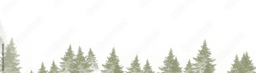 Pine landscape, forest
Pine landscape, forest