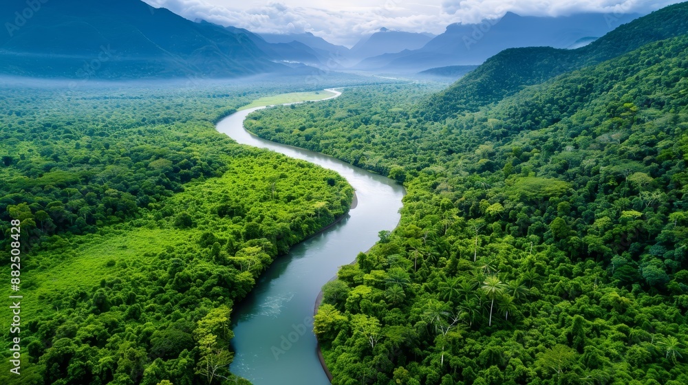 Pristine wilderness showcasing a diverse ecosystem, rich terrain with lush forests, rivers, and wildlife in their natural habitat, untouched environment Pristine wilderness showcasing a diverse ecosystem, rich terrain with lush forests, rivers, and wildlife in their natural habitat, untouched environment