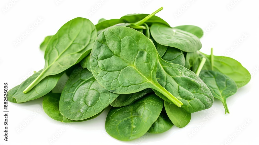 Pile of fresh green baby spinach leaves isolated on white background. Close up. Flat lay. Food concept. Macro concept Pile of fresh green baby spinach leaves isolated on white background. Close up. Flat lay. Food concept. Macro concept