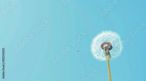 Dandelion Seed in Flight Against a Blue Sky