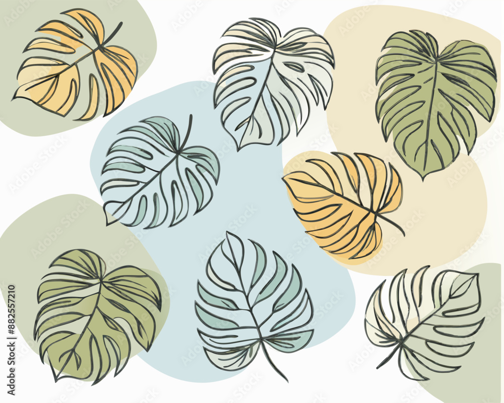 Fototapeta premium cute monstera