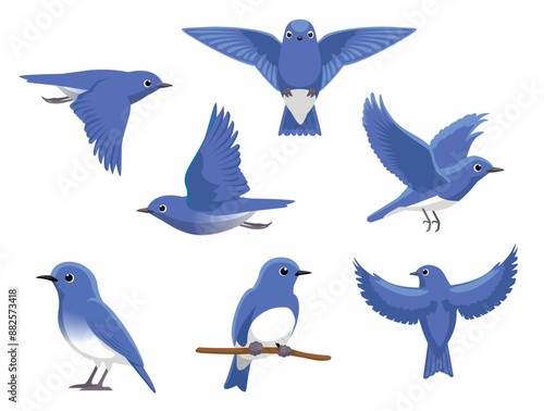 Bluebird Various Poses Cartoon Vector Character