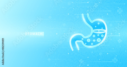 Human stomach outline glowing on blue background futuristic. Used for designing medical health care advertisements. Banner vector EPS10.