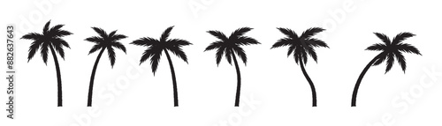Groovy boho silhouette palm tree illustration