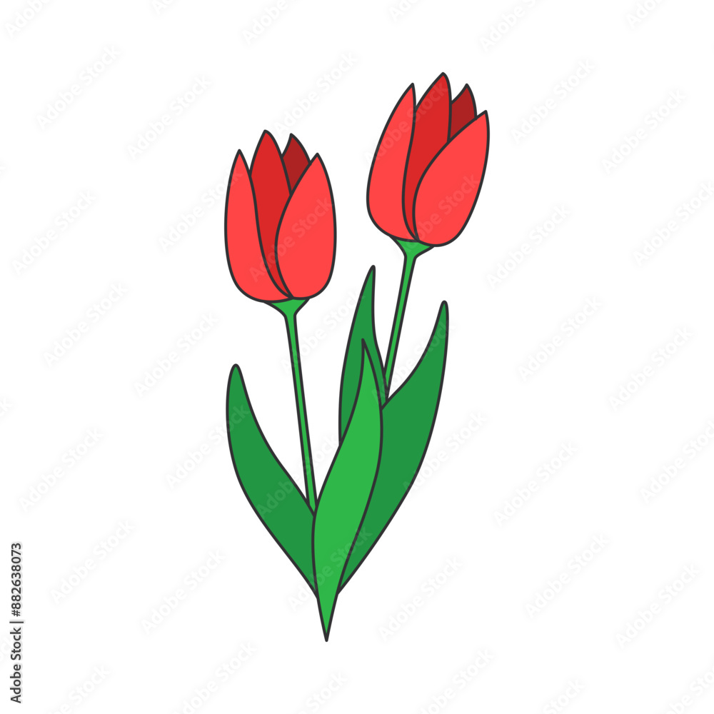 flower illustration flower illustration