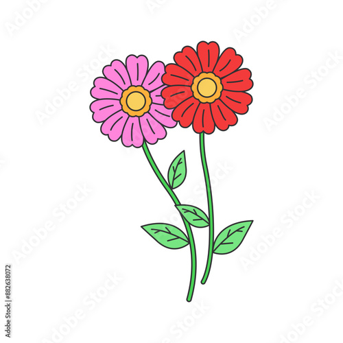 flower illustration