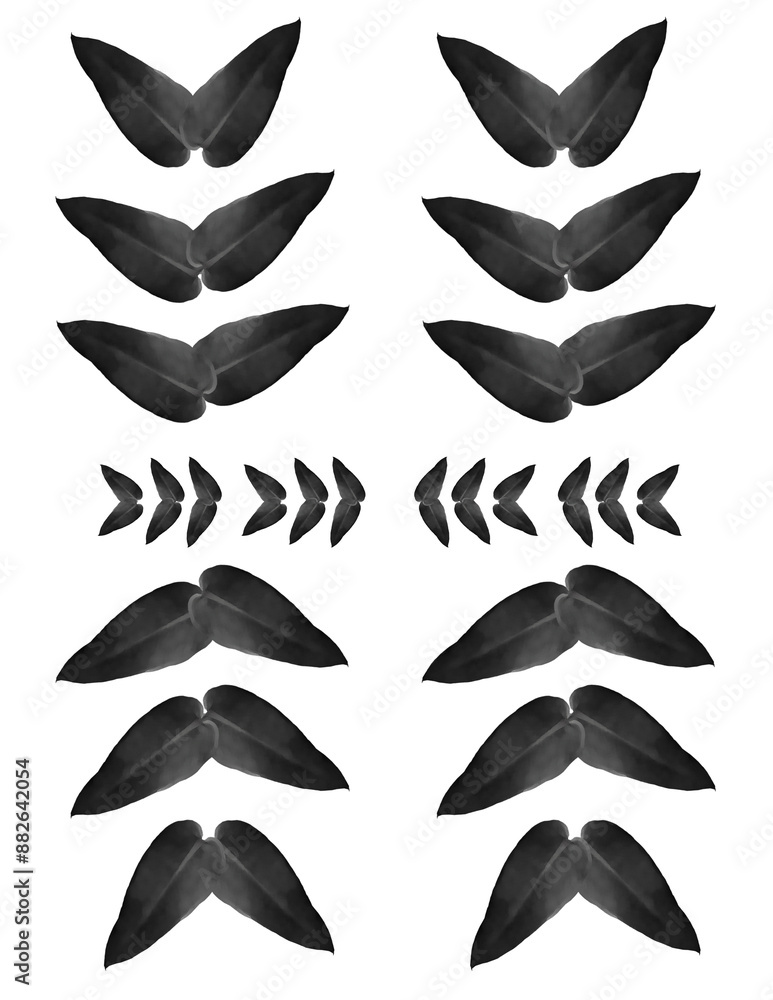 set of black silhouettes of leaves set of black silhouettes of leaves