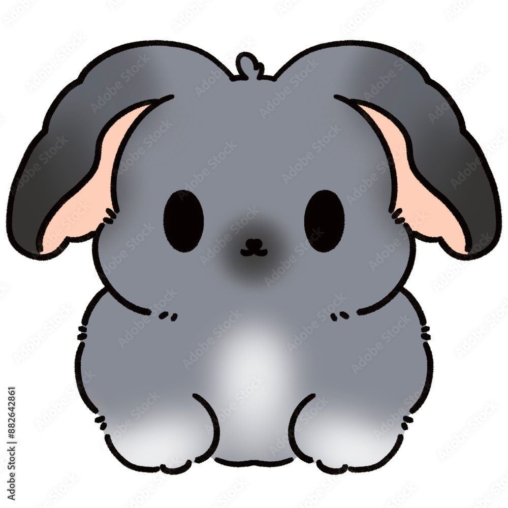 Fototapeta premium Bunny