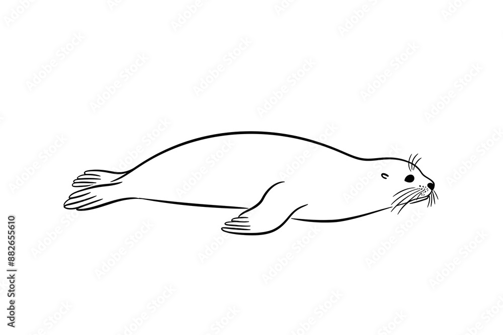 Obraz premium だらしないポーズで寝転ぶアザラシの手描きイラスト 白背景の切り抜き