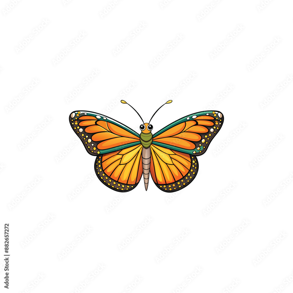butterfly isolated on white butterfly isolated on white