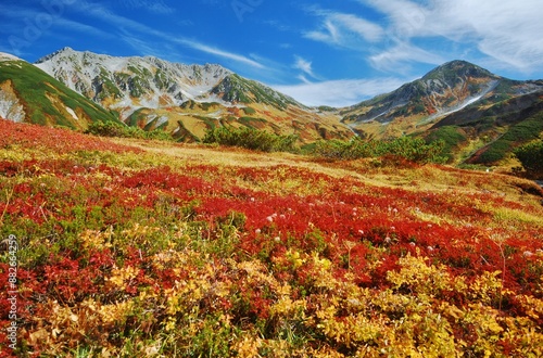 秋の大日連峰 紅葉トレッキング