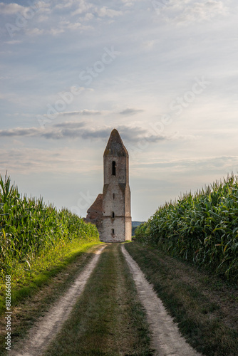 Old Catholic church, ruins in the middle of the corn field. Landscape shot at sunset Pusztatorony Hager, Somogyvámos Balaton, Hungary photo