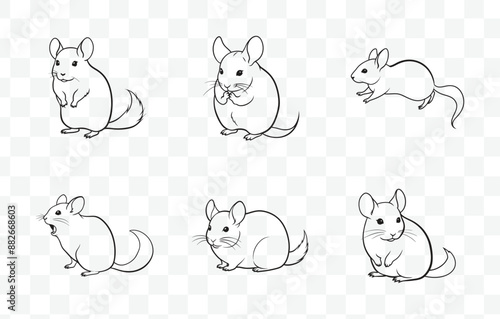 Print Chinchillas Line Art Vector Set for Creative Projects and Graphic Design