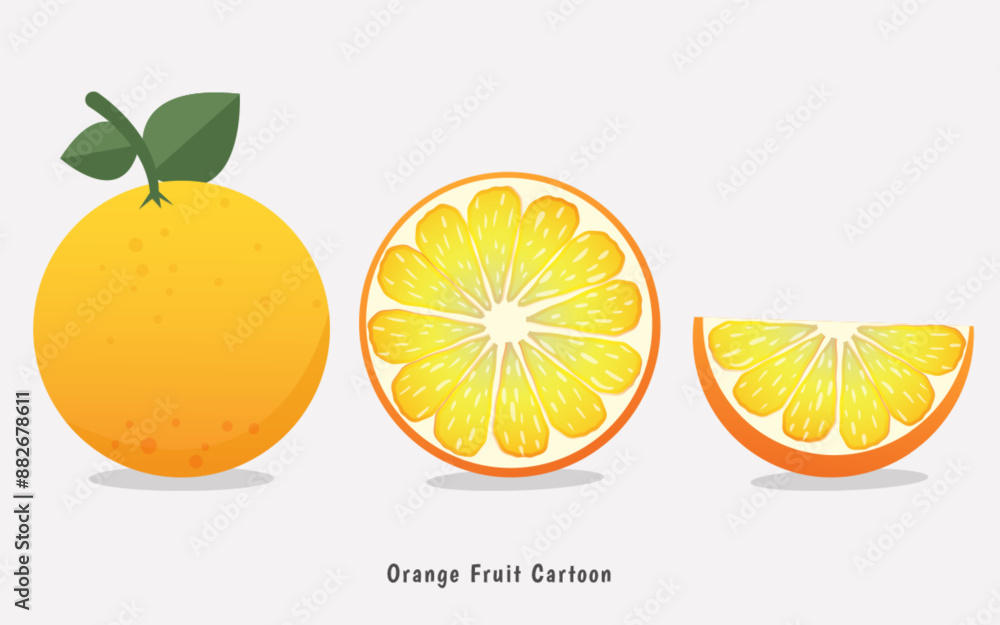 set of different angles of orange fruit cartoon vector set of different angles of orange fruit cartoon vector