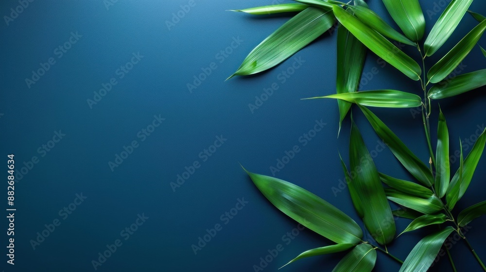 Green Bamboo Leaves on Blue Background