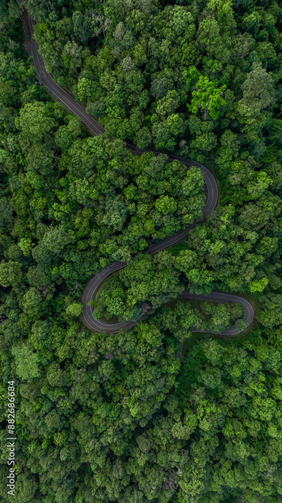 Aerial view asphalt road on green forest, Curve asphalt road on mountain green forest, Countryside road passing green forrest and mountain. Aerial view asphalt road on green forest, Curve asphalt road on mountain green forest, Countryside road passing green forrest and mountain.