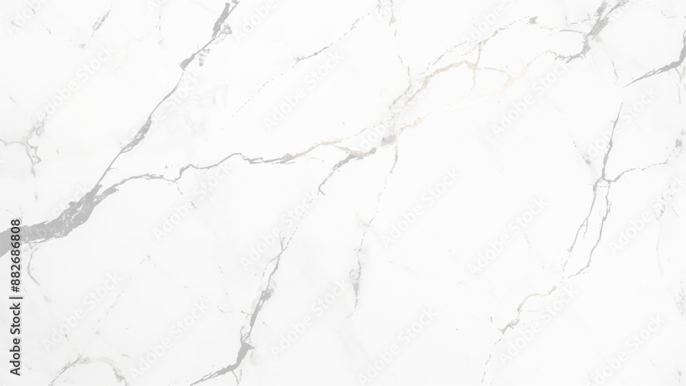 White marble texture and background.Marble wall white silver pattern gray ink graphic background abstract light elegant . Scratched grungy marble textured background White marble texture and background.Marble wall white silver pattern gray ink graphic background abstract light elegant . Scratched grungy marble textured background