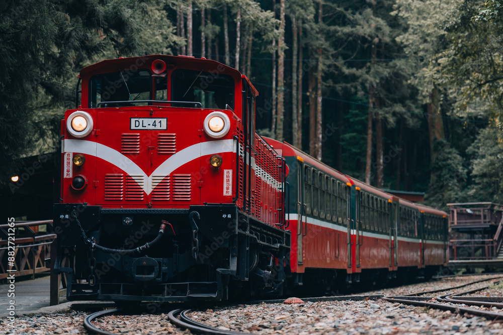 Fototapeta premium Taiwan ChiaYi Alishan Forest Railway
