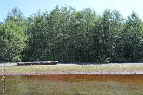 Fotografie Lush Shoreline with Dense Vegetation Viewed from Water