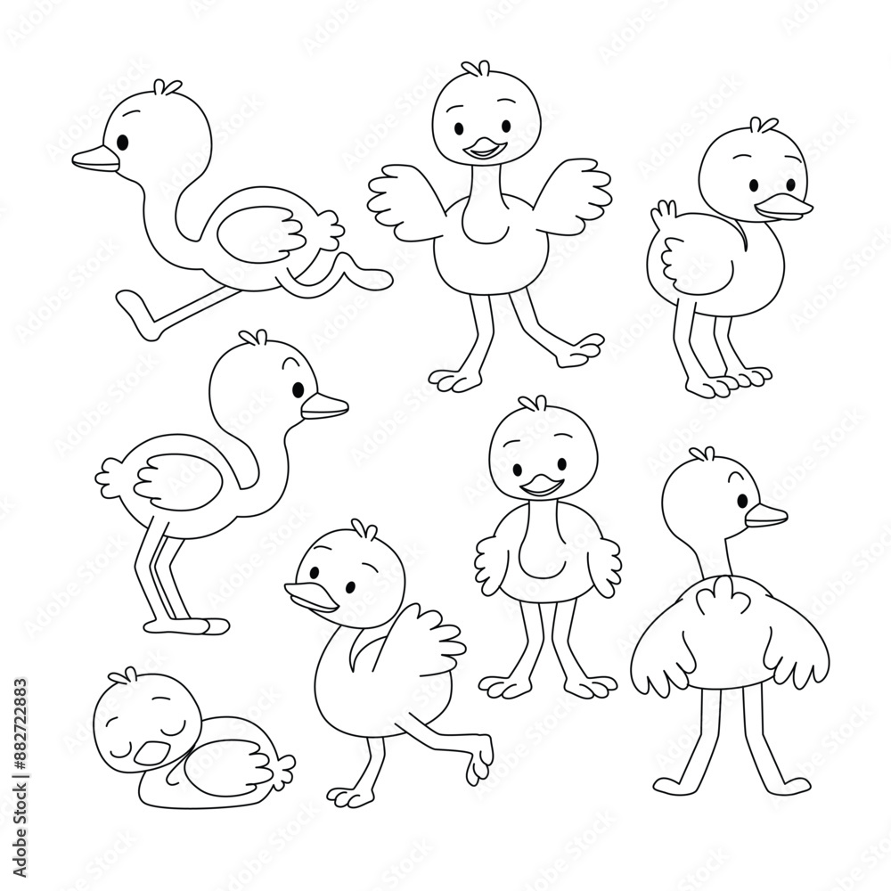 Set of Ostrich doodle collection, Ostrich outline coloring page or book animals for kindergarten, Vector line art set of animals wildlife, Hand drawn, Minimal Ostrich line art doodle in different pose Set of Ostrich doodle collection, Ostrich outline coloring page or book animals for kindergarten, Vector line art set of animals wildlife, Hand drawn, Minimal Ostrich line art doodle in different pose