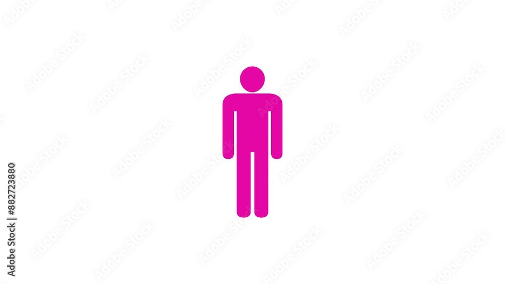 Man shape icon pink color animation on white background Man shape icon pink color animation on white background
