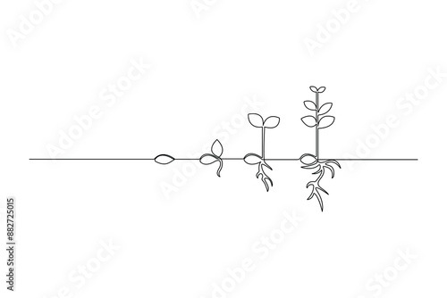 Continuous one line drawing Plant growth process Vector illustration