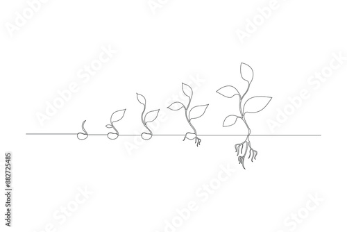 Continuous one line drawing Plant growth process Vector illustration