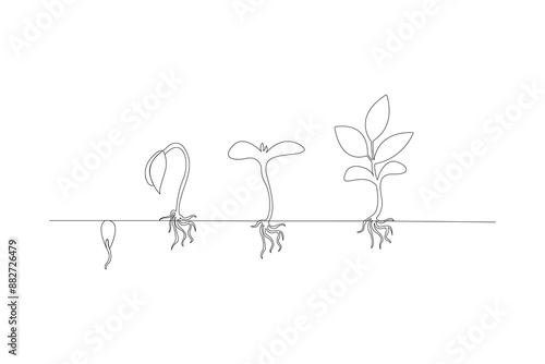 Continuous one line drawing Plant growth process Vector illustration