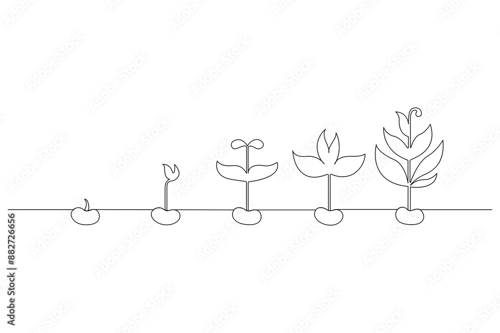 Continuous one line drawing Plant growth process Vector illustration Continuous one line drawing Plant growth process Vector illustration
