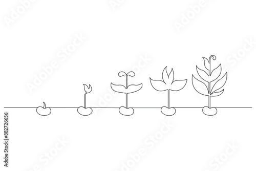 Continuous one line drawing Plant growth process Vector illustration