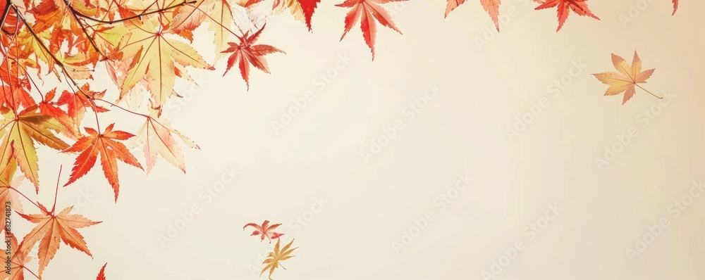 Fall Leaf Frame. Autumn falling maple leaves isolated on white background. Fall foliage wallpaper Fall Leaf Frame. Autumn falling maple leaves isolated on white background. Fall foliage wallpaper