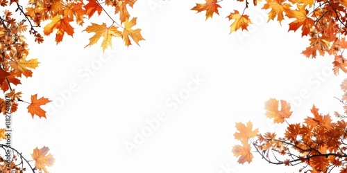 Fall Leaf Frame. Autumn falling maple leaves isolated on white background. Fall foliage wallpaper